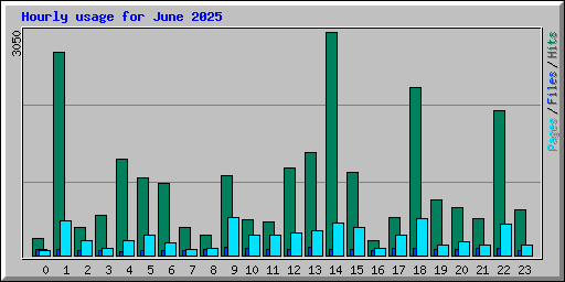 Hourly usage for June 2025